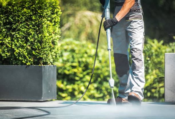 Animal Enclosure Cleaning in Mastic, NY